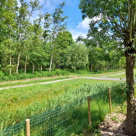 Wellnesshuis Met Hottub, Ligbad En Grote Tuin Tzummarum Exterior photo