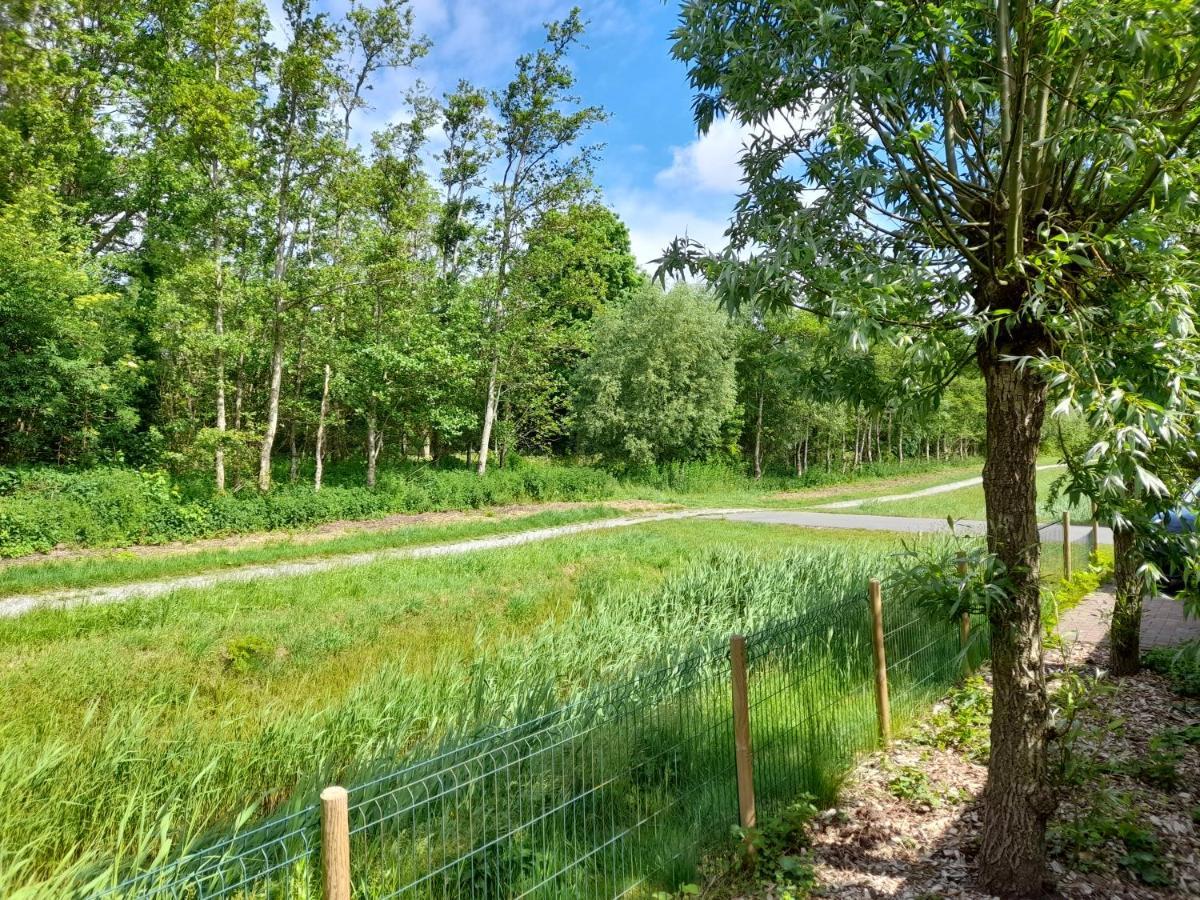 Wellnesshuis Met Hottub, Ligbad En Grote Tuin Tzummarum Exterior photo